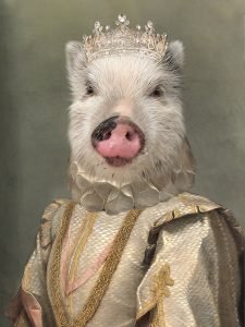royal pet pig