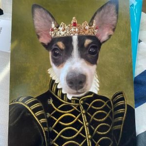 Royal Pet Portrait, Dog portrait, Cat portrait printed on blanket, Renaissance cat portrait, Regal king, queen portrait